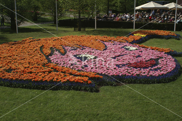 Keukenhof