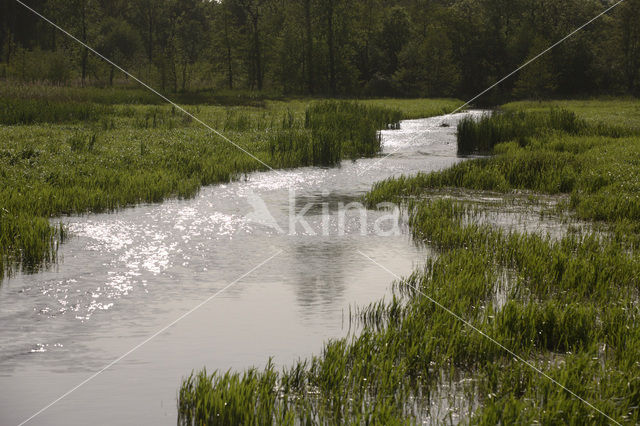 Landgoed Vennebroek