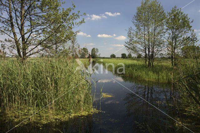 Landgoed Vennebroek