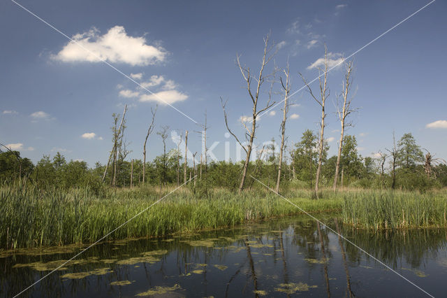 Landgoed Vennebroek