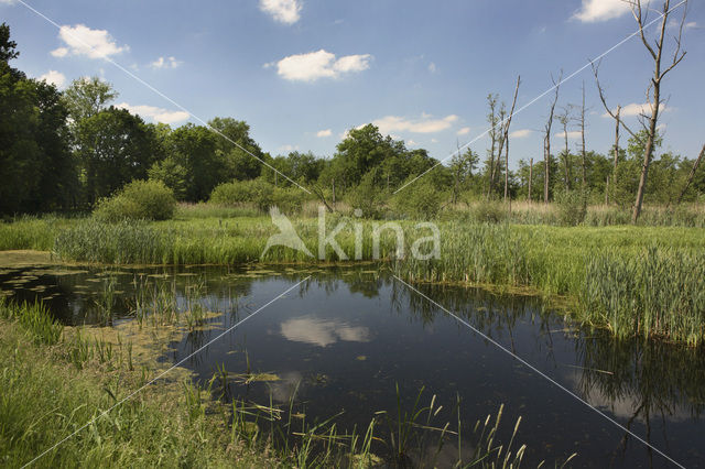 Landgoed Vennebroek