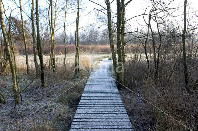 Nationaal Park De Alde Feanen