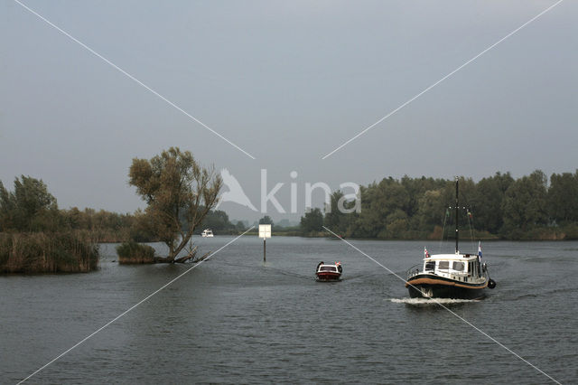 Nationaal Park de Biesbosch