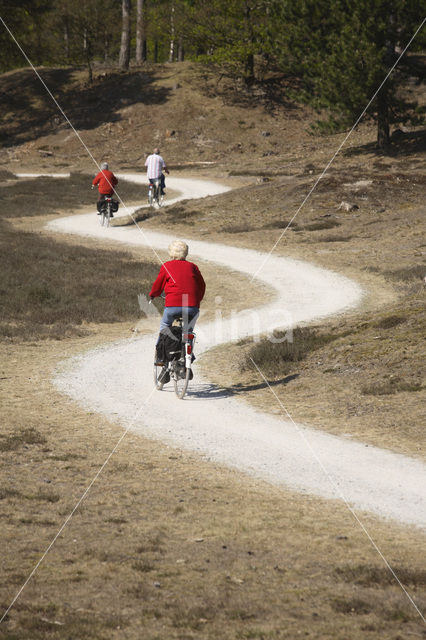 National Park Drents-Friese Wold