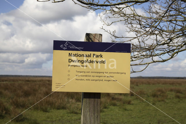 Nationaal Park Dwingelderveld