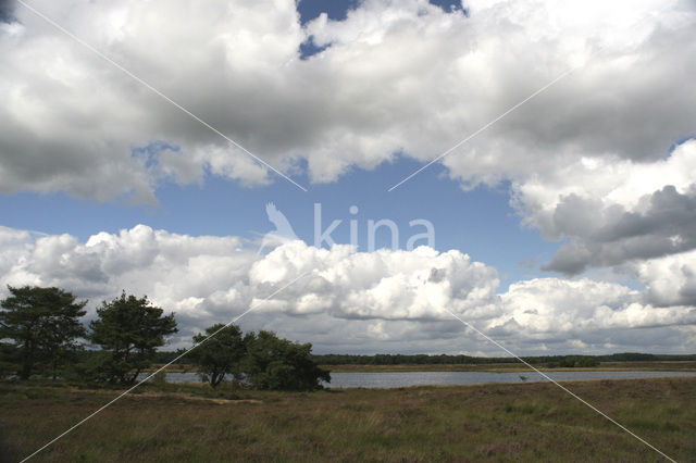 Nationaal Park Dwingelderveld