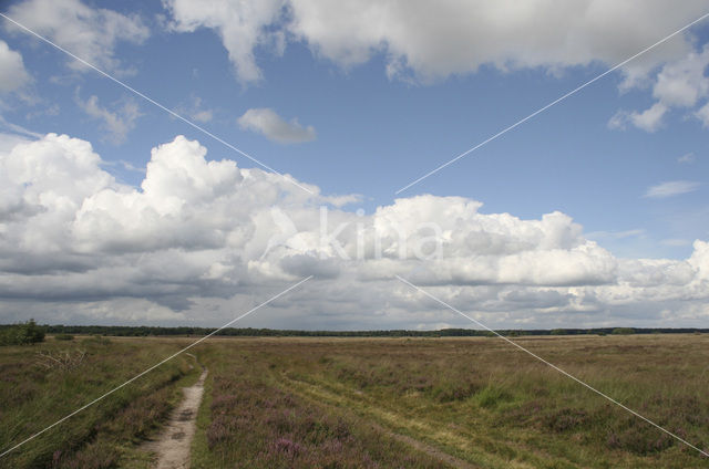 Nationaal Park Dwingelderveld