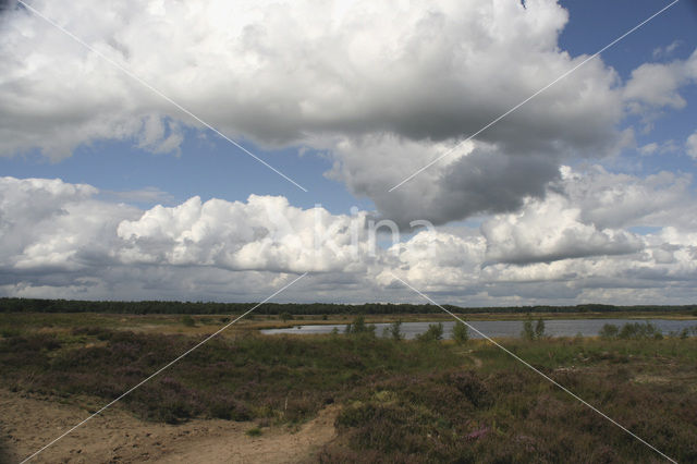 Nationaal Park Dwingelderveld