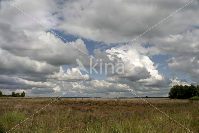 Nationaal Park Dwingelderveld