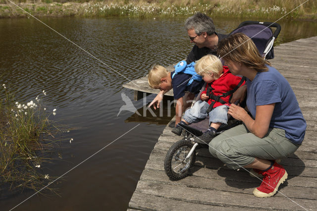 Nationaal Park Dwingelderveld