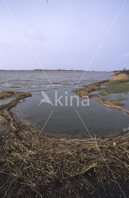 Nationaal Park Lauwersmeer