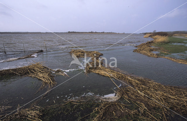 Nationaal Park Lauwersmeer