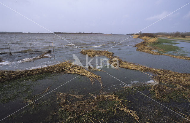 Nationaal Park Lauwersmeer