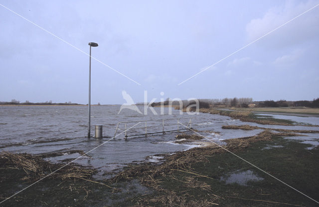 Nationaal Park Lauwersmeer