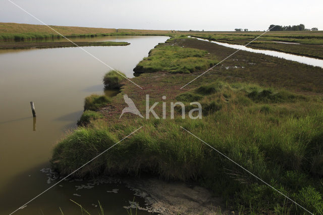 National Park Oosterschelde