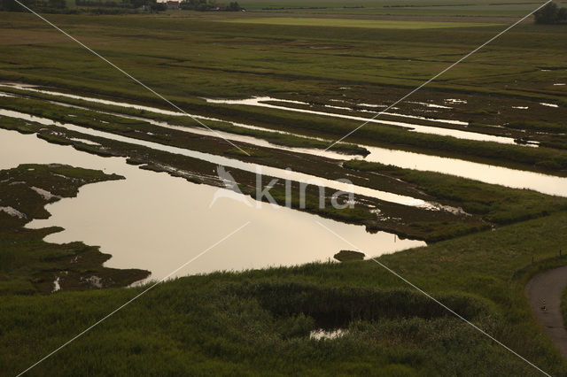 Nationaal Park Oosterschelde