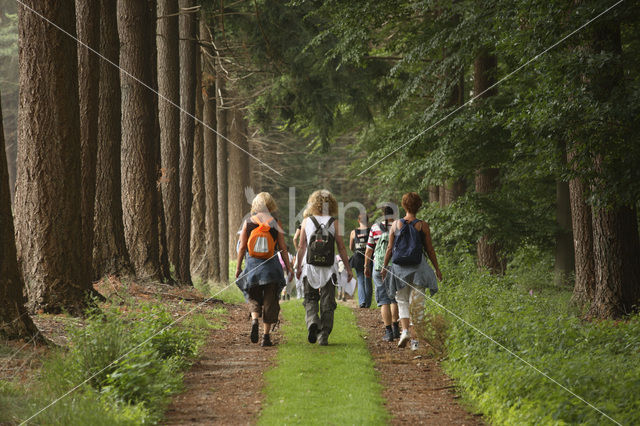 National Park Utrechtse Heuvelrug