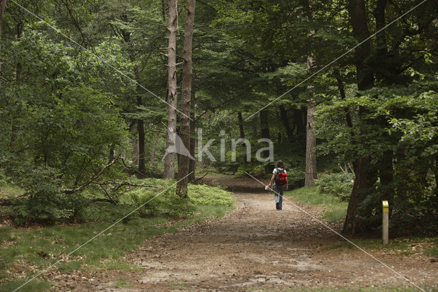 National Park Utrechtse Heuvelrug