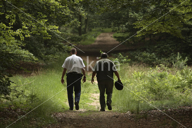 Nationaal park Utrechtse Heuvelrug