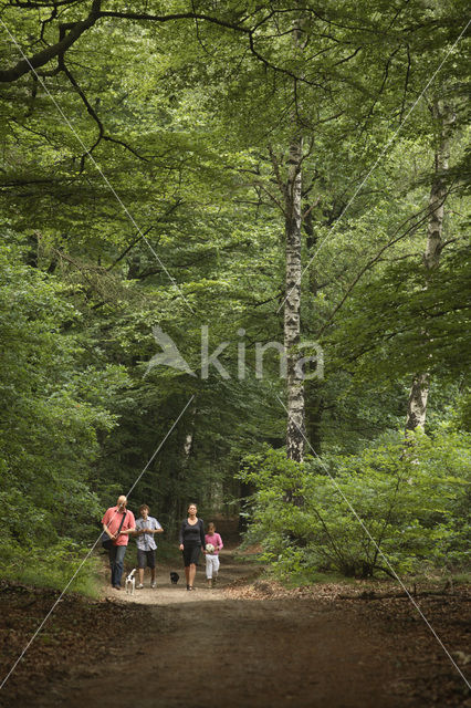 National Park Utrechtse Heuvelrug