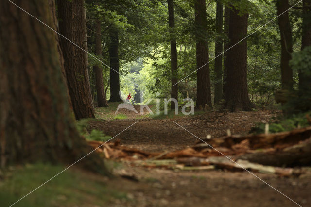 Nationaal park Utrechtse Heuvelrug