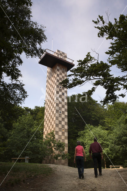 Nationaal park Utrechtse Heuvelrug