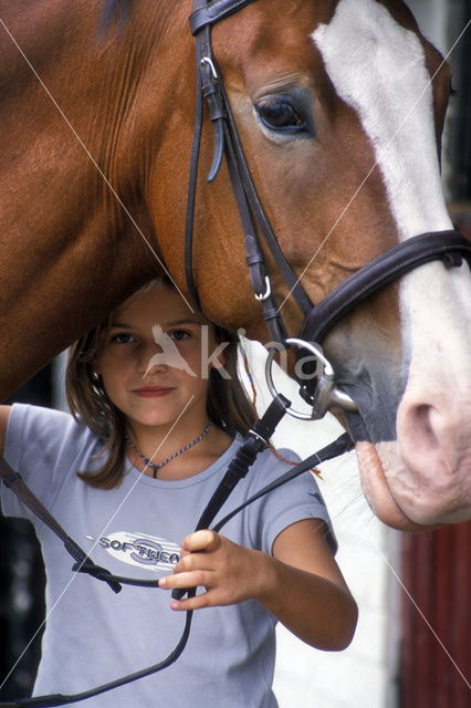 Horse (Equus spp)