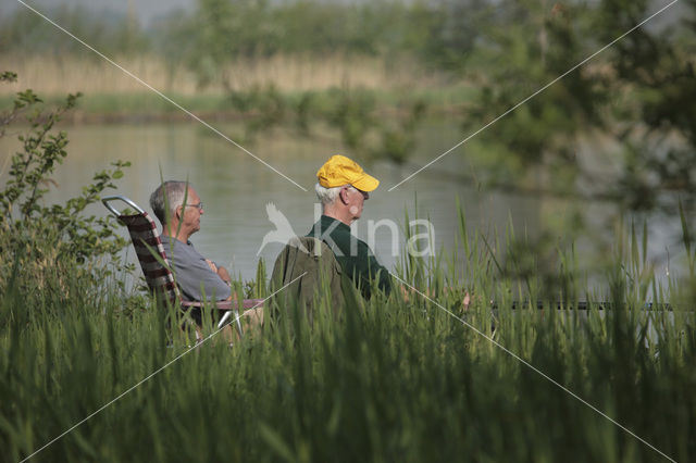 Reeuwijkse Plassen