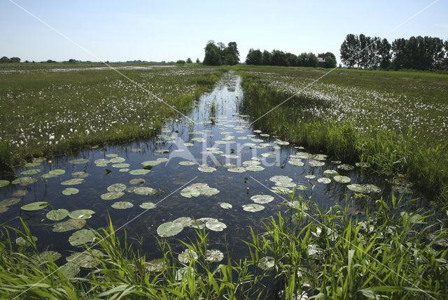 Schraallanden langs de Meije