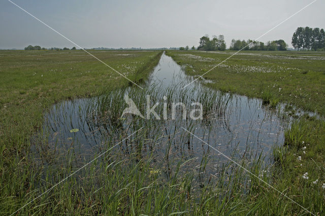 Schraallanden langs de Meije