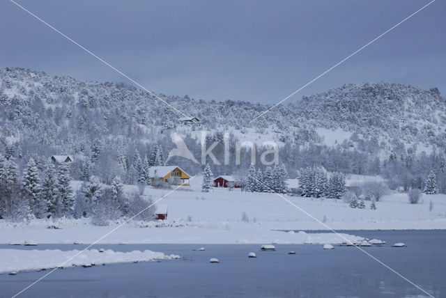 Tysfjord