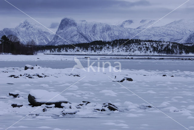 Tysfjord