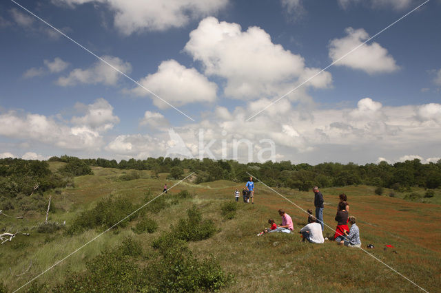 Zeepeduinen