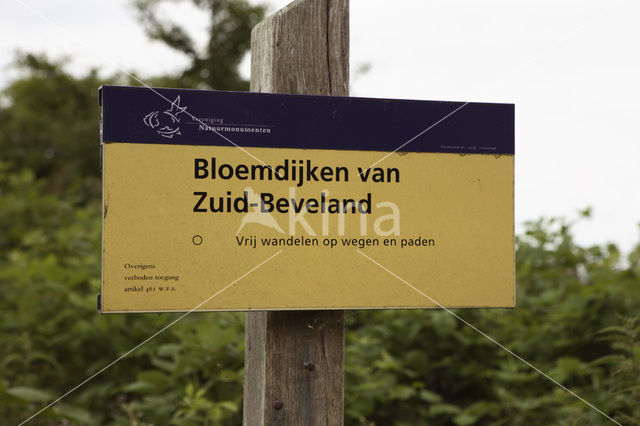 Bloemdijken van Zuid-Beveland