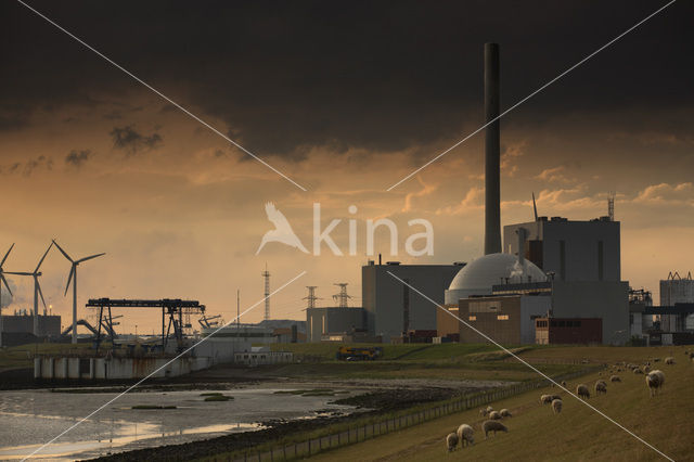 Borssele nuclear powerplant