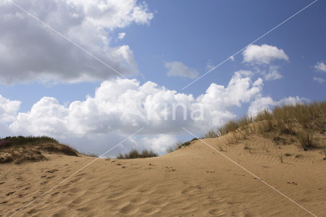 Nationaal Park Drents-Friese Wold