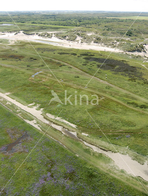 National Park Duinen van Texel