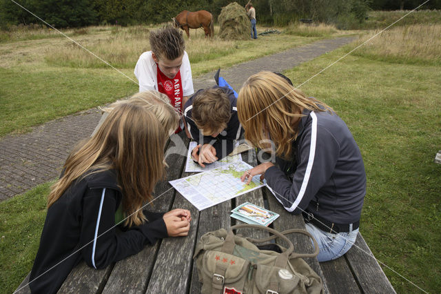 Nationaal Park Dwingelderveld