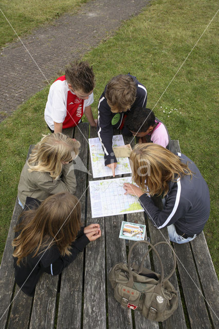 National Park Dwingelderveld