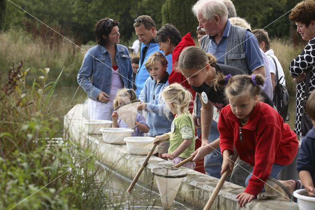 Nationaal Park Dwingelderveld