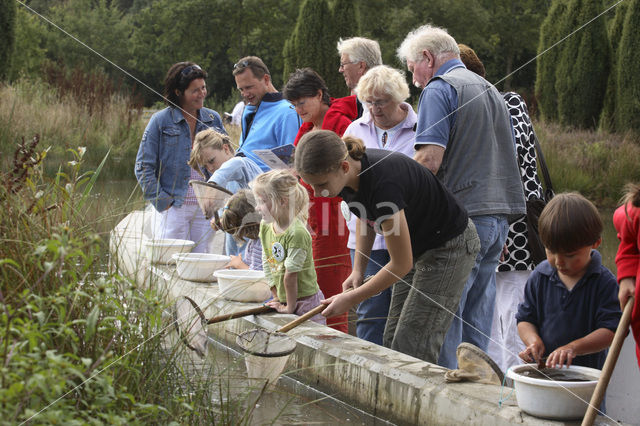 Nationaal Park Dwingelderveld