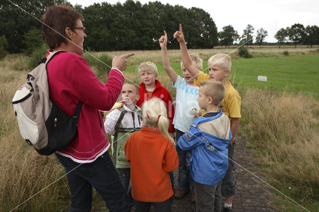 Nationaal Park Dwingelderveld