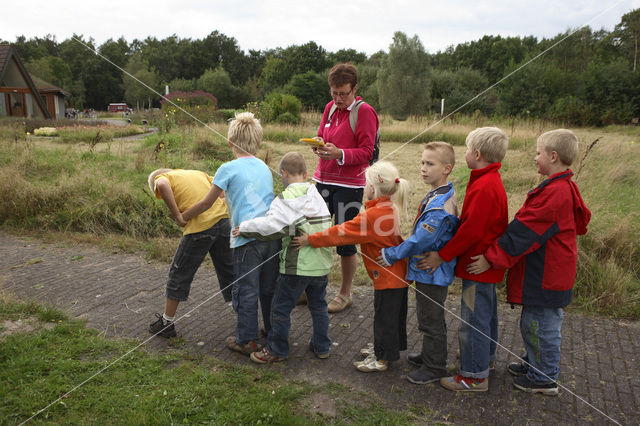 Nationaal Park Dwingelderveld