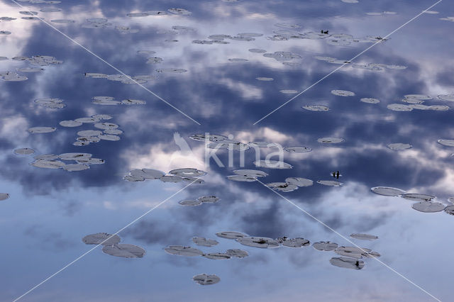Fulufjället National Park