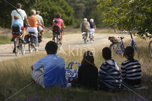 National Park Loonse en Drunense Duinen