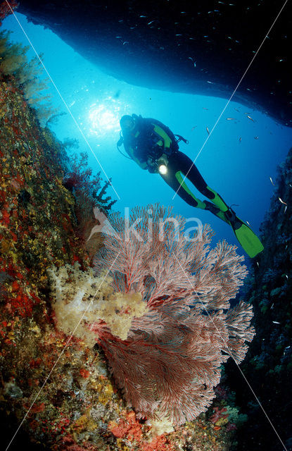 Similan Islands National Marine Park