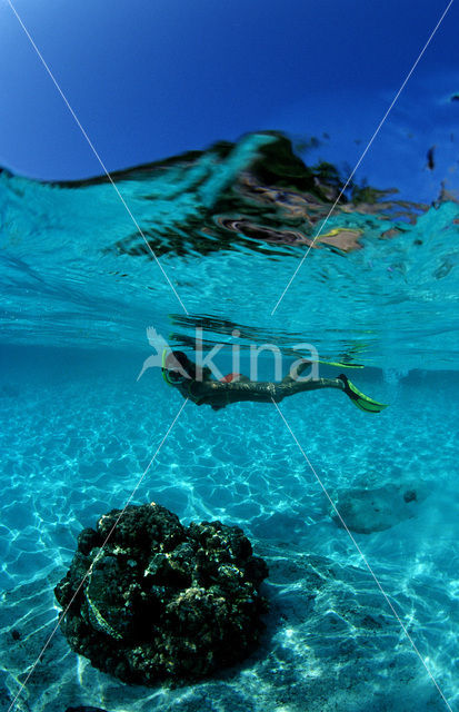 Similan Islands National Marine Park