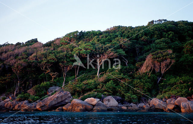 Similan Islands National Marine Park