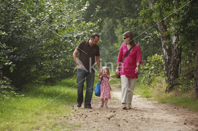 Strabrechtse Heide