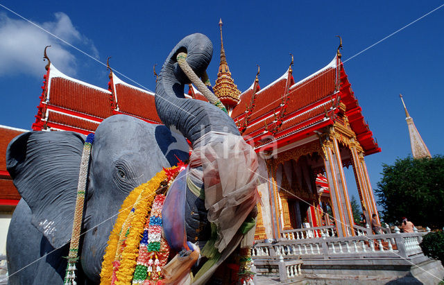 Wat Phra Thong